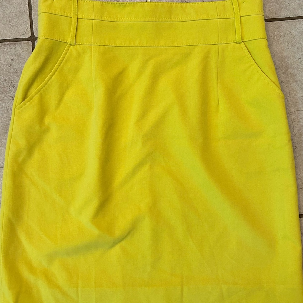 Gianni Bini skirt!